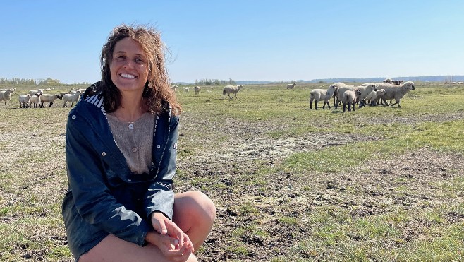 Rencontre avec Laure Poupart, seule bergère de la Baie de Somme