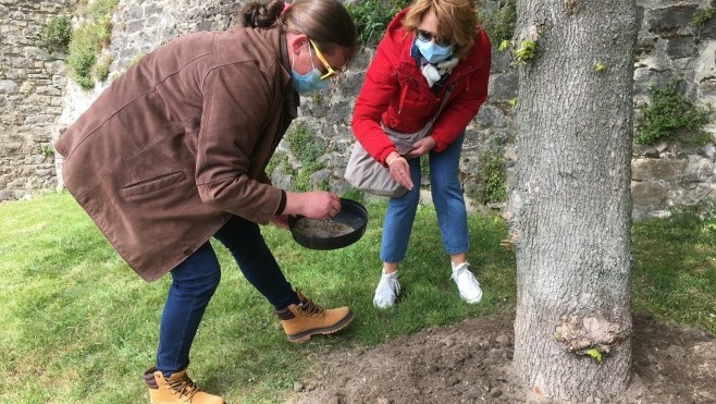 Déjà une soixantaine d'arbres adoptés depuis 2019 à Boulogne !