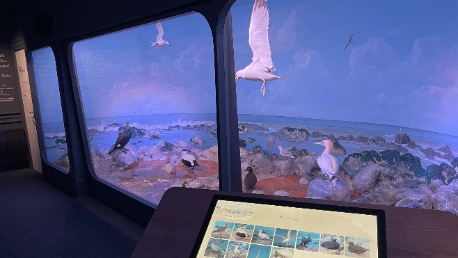 La Maison de la Baie de Somme va rouvrir avec une toute nouvelle scénographie