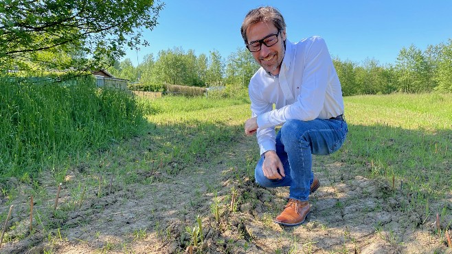 La Vannerie du Boisle relance la culture historique de l'osier dans la Somme