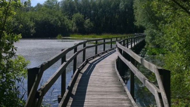 Oxygénez-vous dans la forêt et au marais de Guînes