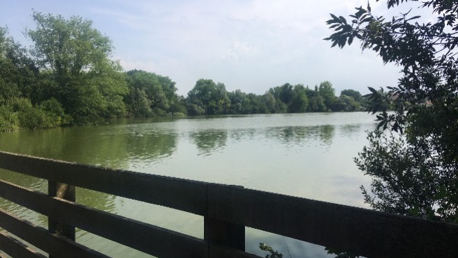  Sortie nature aux lacs d’Ardres !