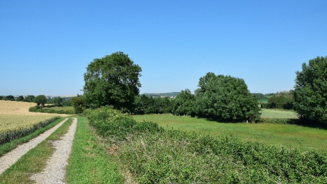 Enfourchez votre VTT et direction le sentier de Berguette à Marquise