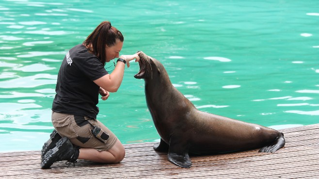 Amiens: zoom sur les animations estivales du zoo cet été