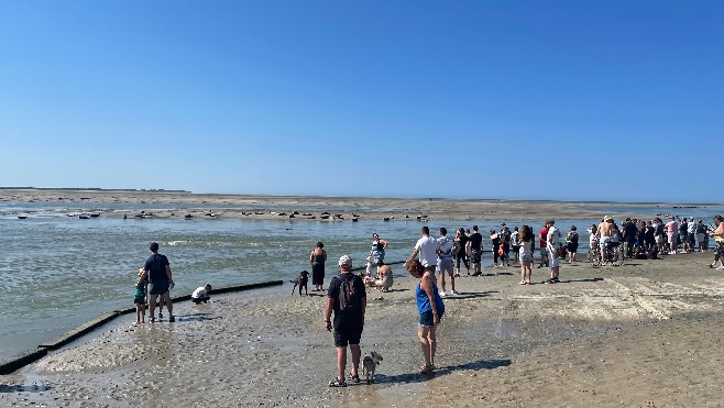 GPS des vacances: le plein d'air pur en Baie d'Authie côté Berck