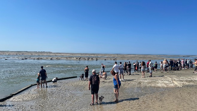 GPS des vacances: le plein d'air pur en Baie d'Authie côté Berck 