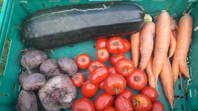 Des paniers de légumes pour faire avancer la recherche sur la mucoviscidose 