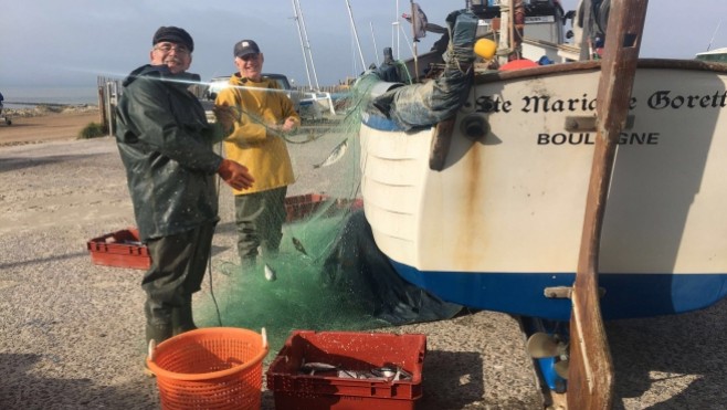 Berck : la fête du hareng côtier est annulée 