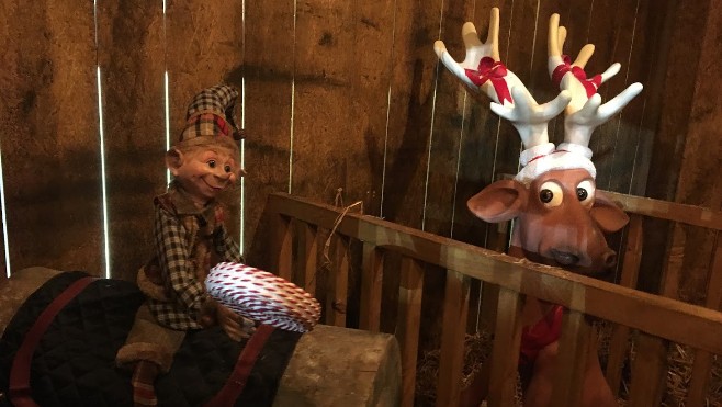 A Dunkerque, la féérie de Noël débute ce samedi ! 