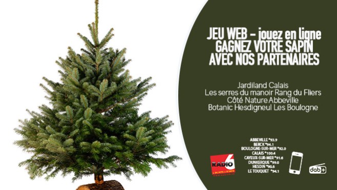 JEU WEB - Gagnez votre sapin en remplissant notre formulaire en ligne