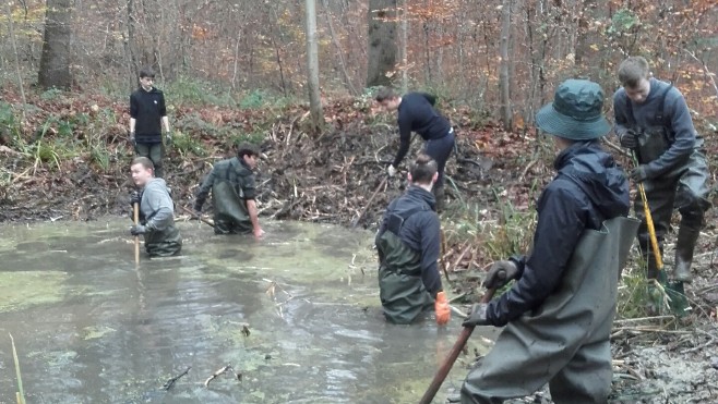  Nouveau chantier nature d’Eden 62 en forêt d’Eperlecques 