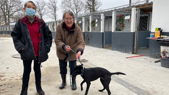 A la SPA on veille à ce que les animaux ne soit pas adoptés à la légère au moment de Noël