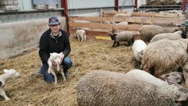 Un éleveur de la Somme lance une cagnotte en ligne pour sauver son exploitation