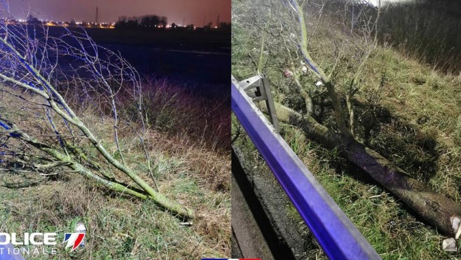 Calais : des migrants déposent des arbres sur la rocade portuaire