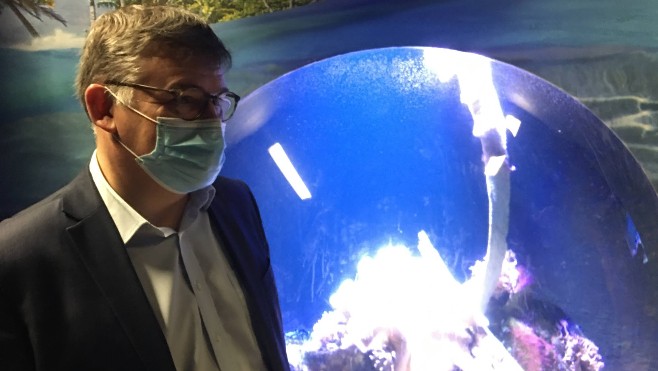Boulogne : une exposition spectaculaire en juin à Nausicaà !