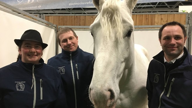 Au salon de l'agriculture : un premier prix au trophée inter-races pour deux juments d'Auxi-le-Château