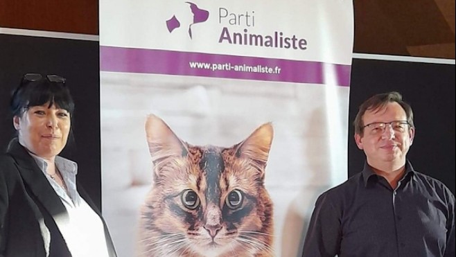 Législatives dans le boulonnais : le vétérinaire Christophe Blanckaert se présente pour le Parti Animaliste.