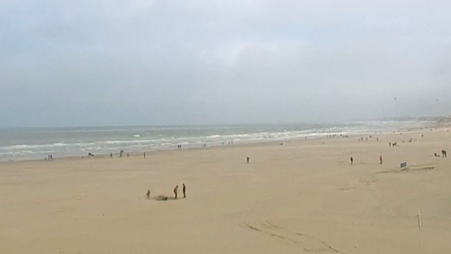 21 kg de cocaïne retrouvés par un promeneur sur la plage de Berck !