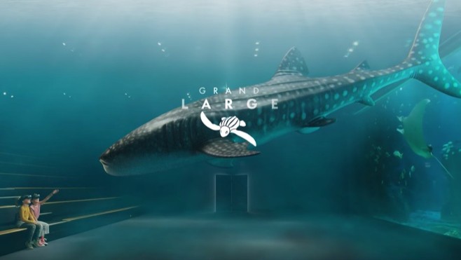 Nouveauté à Nausicaà: grâce à la réalité augmentée, vous allez toucher les géants des mers !