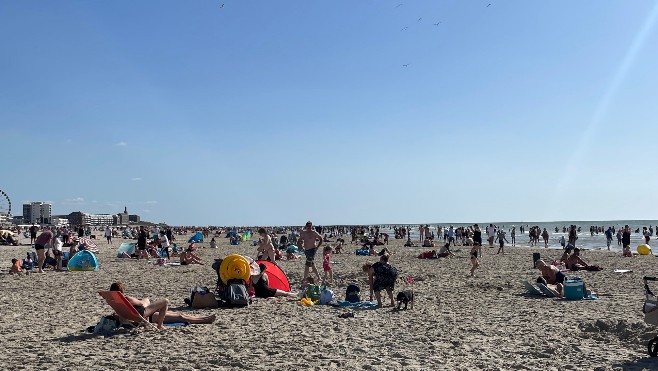 Vague de chaleur: à quoi s'attendre sur le littoral ? 