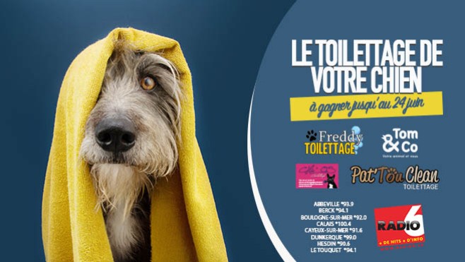 Gagnez le toilettage de votre animal de compagnie en écoutant Radio 6