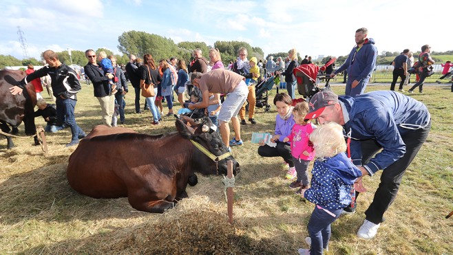 Une fête paysanne organisée en centre ville de Grande-Synthe Dimanche !