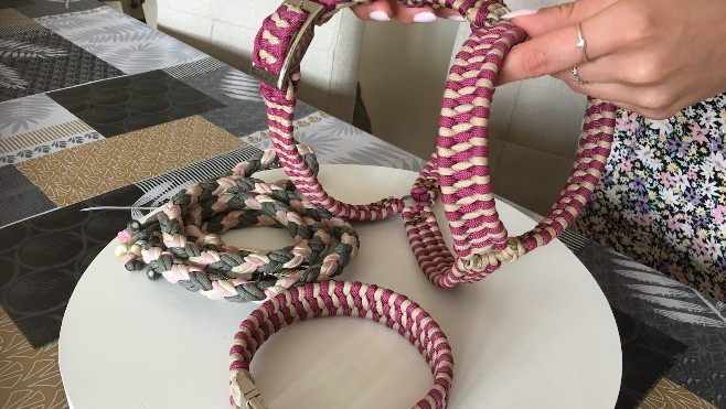 A Dunkerque, Camille Savarit a lancé une e-boutique d'accessoires de mode pour chiens !