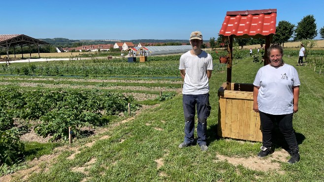 A Abbeville, un chantier d'insertion maraîchage vient d'ouvrir
