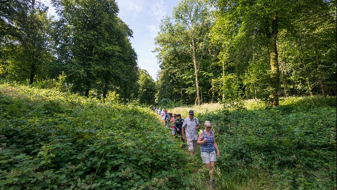 Les Escapades : participez aux jeudis de la randonnée dans le Guînois