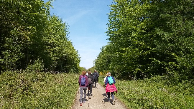 Les Escapades : initiez-vous à la marche nordique en Pays d'Opale