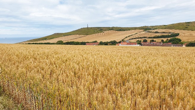 Les Escapades : randonnée pédestre autour du Blanc-Nez