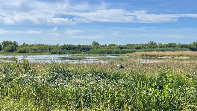 Les Escapades: évadez-vous au Parc du Marquenterre dans la Somme