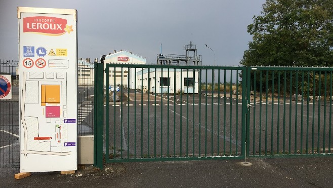 A Vieille-Eglise, l'entreprise de chicorée Leroux recherche des intérimaires