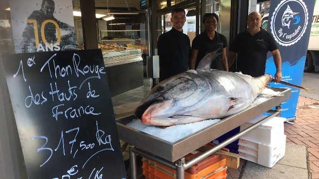 Un thon rouge de 317kg fait le bonheur d'un poissonnier dunkerquois !