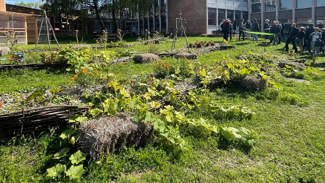 Un potager pédagogique créé au lycée Delambre à Amiens
