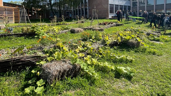 Un potager pédagogique créé au lycée Delambre à Amiens 