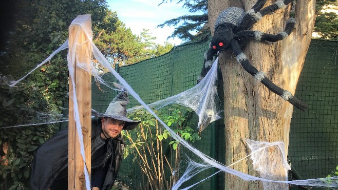 A Fort-Mardyck, le parc animalier Bio-Topia est aux couleurs d'Halloween !