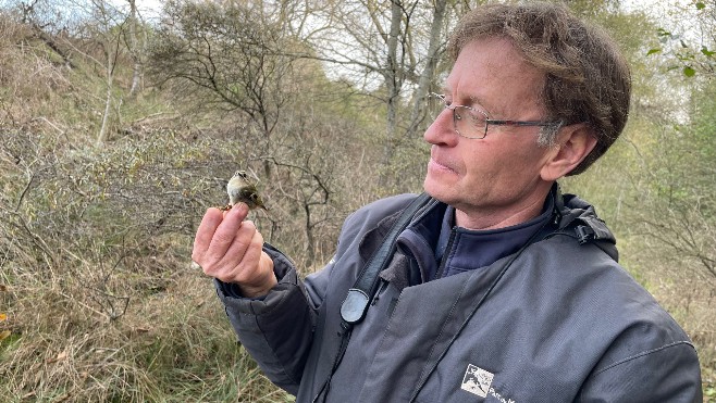 Il y a eu énormément d'oiseaux migrateurs cette année au parc du Marquenterre