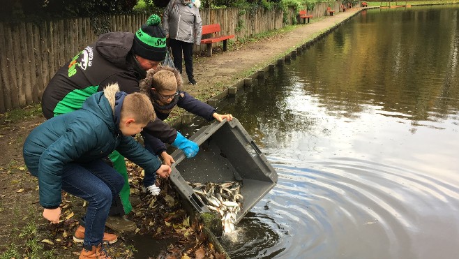 Coudekerque-Branche : 500 kilos de poissons déversés dans les douves du Parc du Fort Louis. 