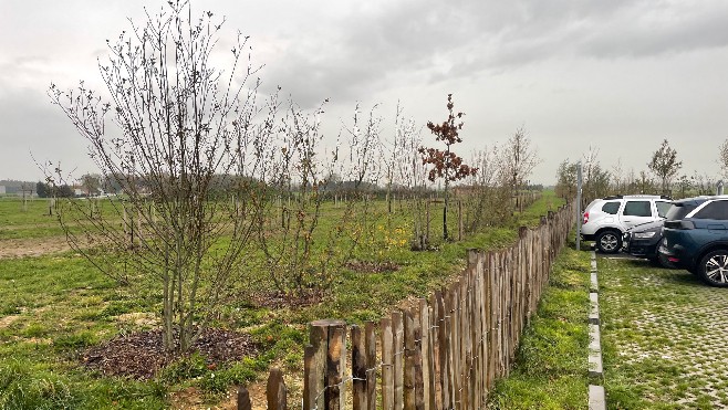 Le département de la Somme plante des haies et des vergers le long de ses routes 