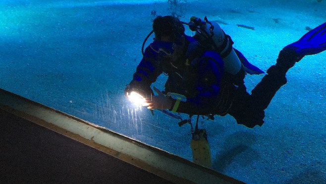 A Nausicaà, les joints de la Grande Baie usés prématurément. Aucun risque pour les visiteurs.