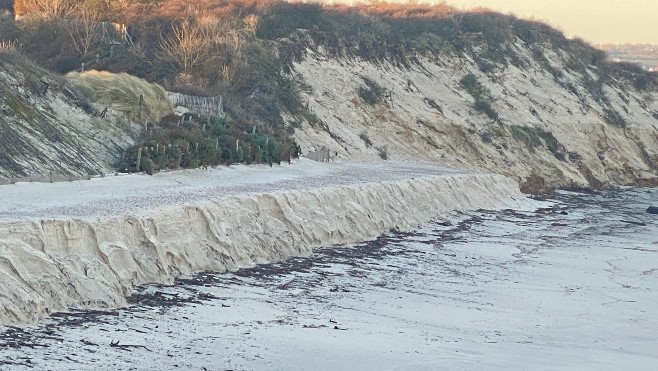 2ème édition de l’opération « Un sapin pour ma Dune » à Wissant