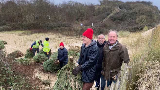 Démarrage aujourd’hui de la collecte de sapins à Wissant