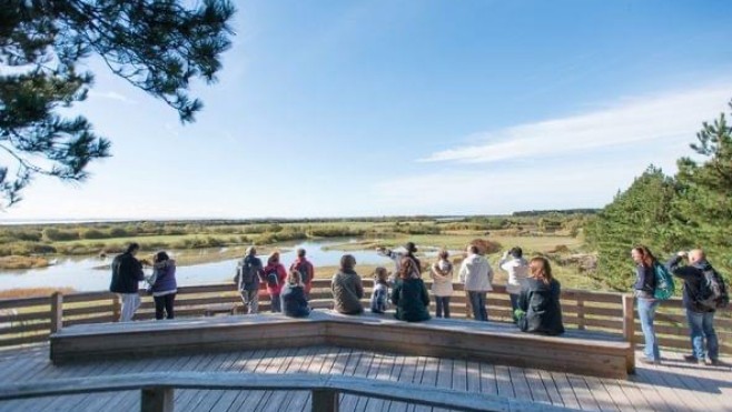 Quels sont les chantiers du Syndicat mixte en 2023 en Baie de Somme et sur le littoral picard ?
