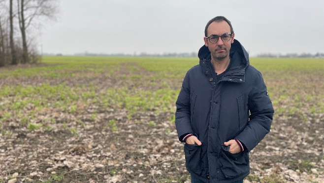 La justice européenne interdit les néonicotinoïdes : les betteraviers inquiets pour le rendement de leur culture