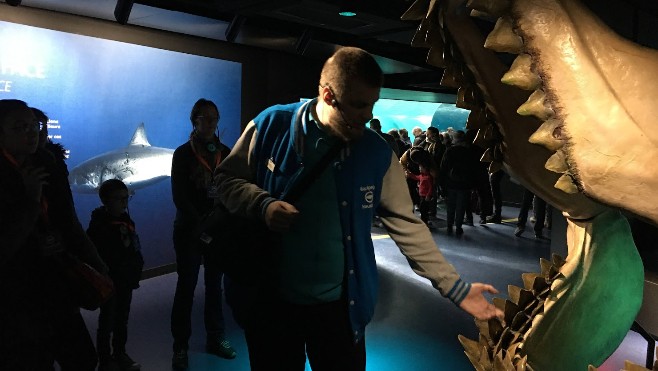 Nausicaà a lancé ses visites à thème sur les requins !