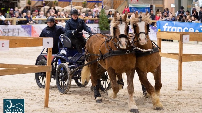 Salon de l'Agriculture: Amandine Debove termine 8e avec ses chevaux boulonnais