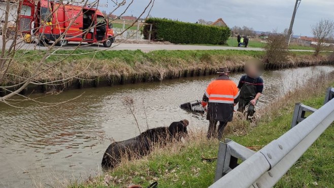 Sainte-Marie-Kerque : un cheval et sa calèche tombent dans un canal.