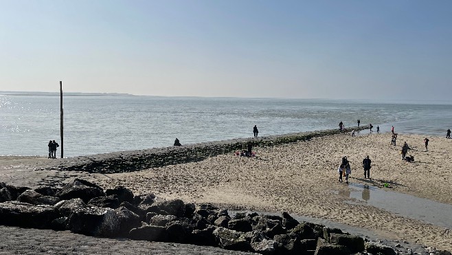 La pêche à pied en Baie d'Authie interdite à cause de la présence de la bactérie EColi