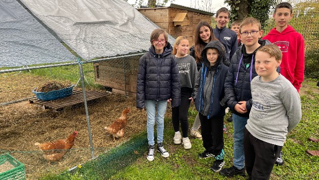 Au collège d'Airaines, on lutte contre le gaspillage alimentaire avec l'implantation d'un poulailler